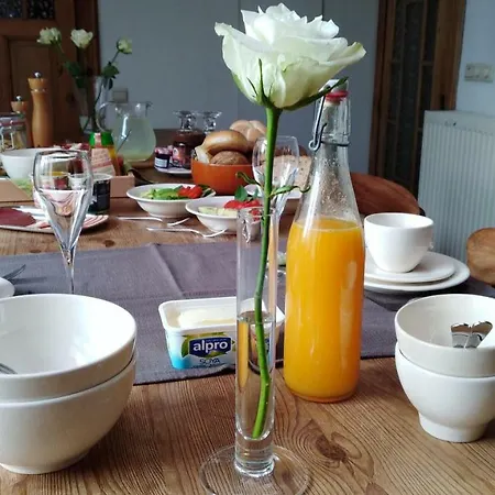 Henrietta Homestay szállás Antwerpen
