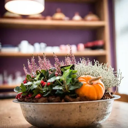 Homestay szállás Henrietta Antwerpen